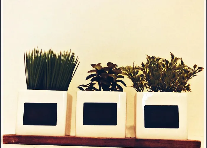 Hostel Roots&boots Lugo